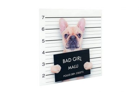 Obraz Bad Girl Franz. Bulldogge sklo 40 x 40 cm
